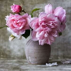 Meet your Posher, Crystal